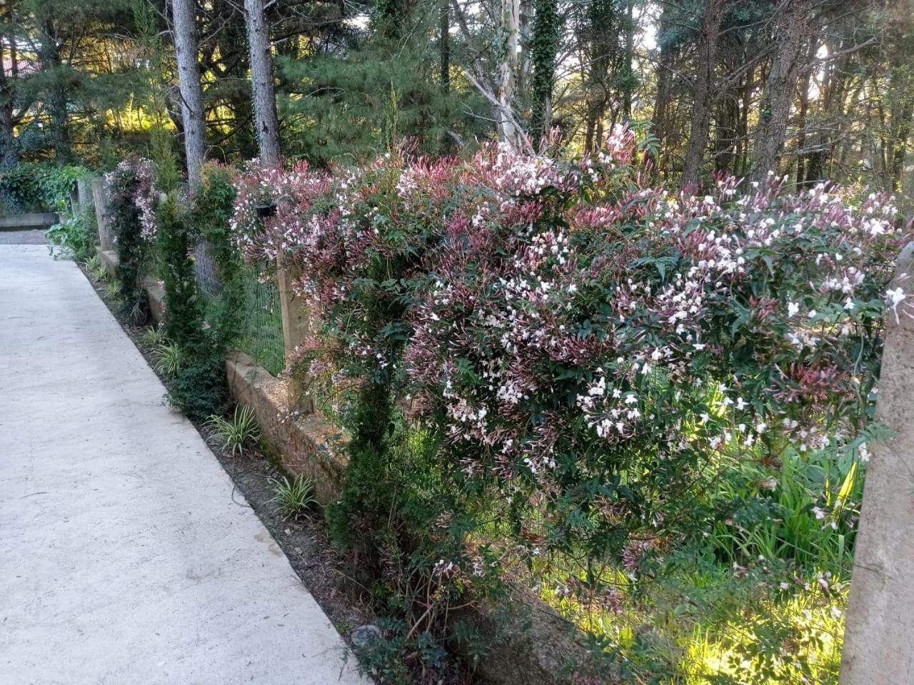 A Vida É Bella Gramado Exterior foto